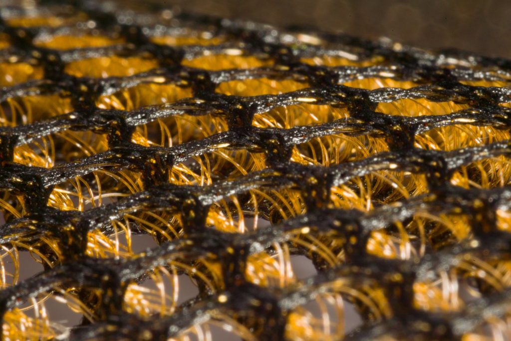 Heathcoat Strikes Gold at Winter Olympics